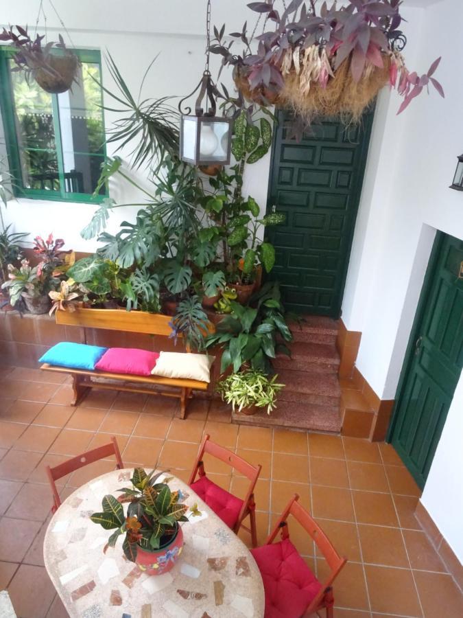 Casa La Poyata - Taganana Villa Santa Cruz de Tenerife Eksteriør billede